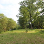 035 Donau hinter Riedlingen