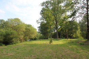 035 Donau hinter Riedlingen