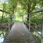 036 Bruecke Donauinsel