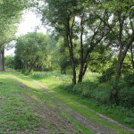 037 Donauinsel