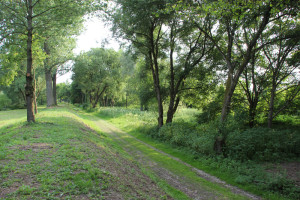 037 Donauinsel