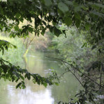 038 Donauverlauf Altheim
