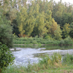 039 Donau Fluss