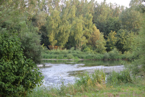 039 Donau Fluss