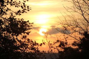 040 Sonnenuntergang Donautal