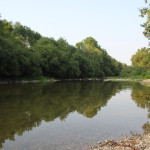 047 Donau bei Mengen
