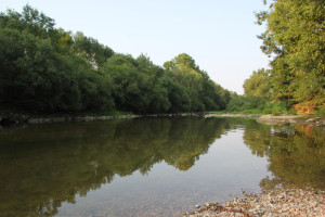 047 Donau bei Mengen