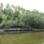 049 Donau Betonbett