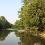 050 Donau ufer