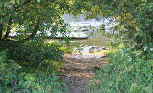 051 Donauzugang
