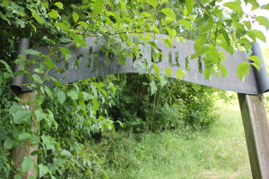 Aufgang Schlossbuechl