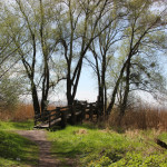 Aussichtsplattform Naturschutzgebiet Eriskircher Ried