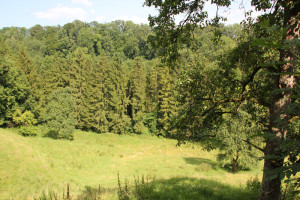 Blick Burghalde Schmalegg