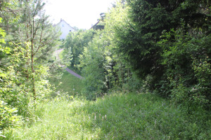 Blick vom Schlossbuechl