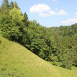 Burgberg Schmalegg