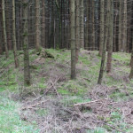 Ecke der Viereckschanze Tannheim