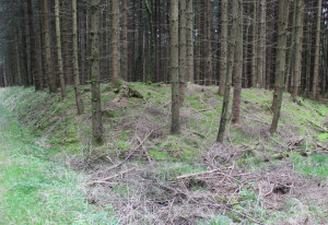 Ecke der Viereckschanze Tannheim