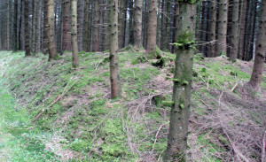 Erdwall Viereckschanze Tannheim