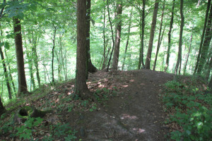 Gelaende Burg Schmalegg