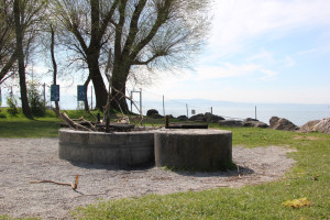 Grillplatz Naturschutzgebiet Eriskircher Ried