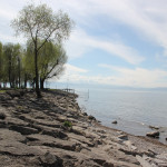 Steinufer Naturschutzgebiet Eriskircher Ried