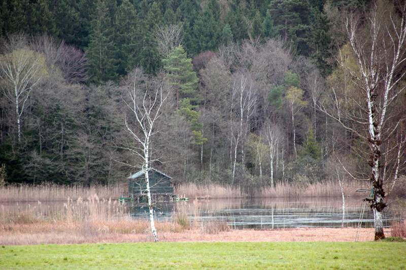 Vorsee bei Wolpertswende | Blitzenreuter Seenplatte