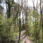 Hohenbodman