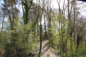 Hohenbodman