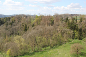 Sicht vom Hohenbodman Richtung Ludwigshafen