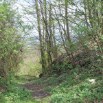 Wanderpfad zum Hohenbodman