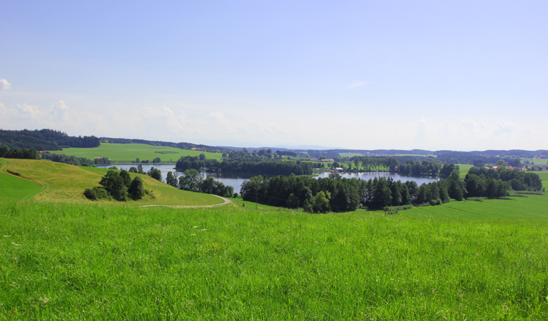 Ellerazhofer Weiher | Bade-, Fisch- und Erholungs-See