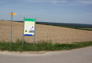 Sonnenweg Wolpertswende