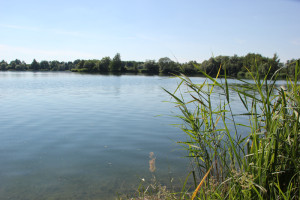 Wassersportsee Schwarzachtalsee