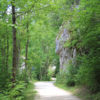 Die Natur Oberschwabens 16 Donau-Radweg im Wald