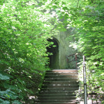 Aufstieg zum Kloster Obermarchtal