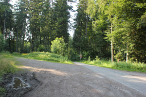 Feldweg zum Jonistobel