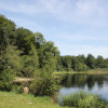 Häckler Weiher | Blitzenreuter Seenplatte Haeckler Weiher Fronreute