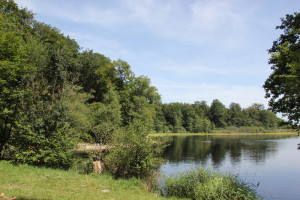 Haeckler Weiher Fronreute