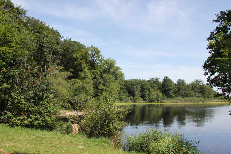 Häckler Weiher | Blitzenreuter Seenplatte