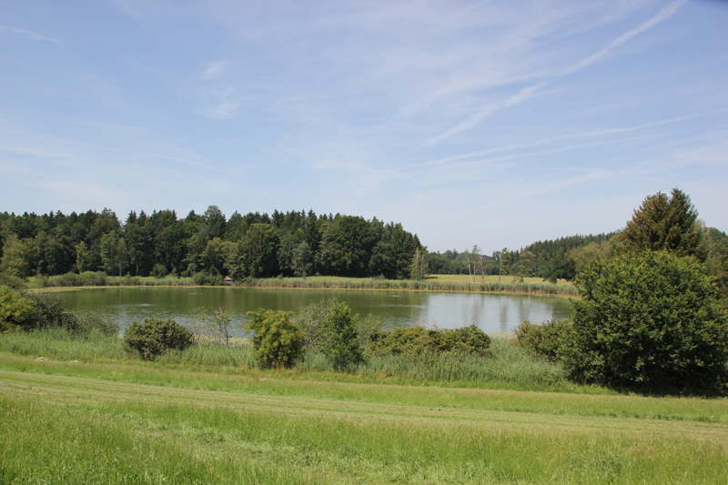 Badesee Bibersee | Blitzenreuter Seenplatte