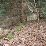 Boeschung Sulpacher Viereckschanze westlich