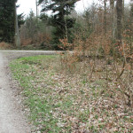 Feldweg durch Viereckschanze Ost