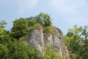 Felsen im Donautal