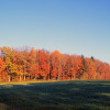 Veranstaltungen im November 2019 in Oberschwaben Novemberwald Oberschwaben