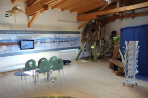 Video und Spielecke Naturschutzzentrum Eriskirch
