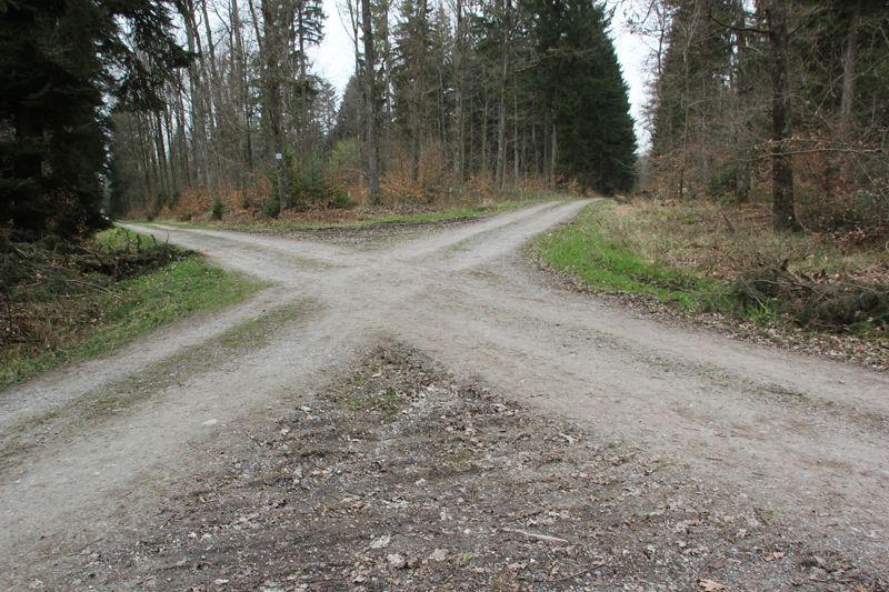 Viereckschanzen im Sulpacher Wald bei Baindt