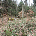 Westliche Viereckschanze Wall Sulpacher Wald