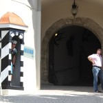 Aufgang zum Schloss Sigmaringen