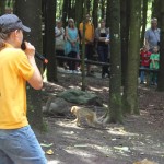 Affenfuetterung Affenberg Salem