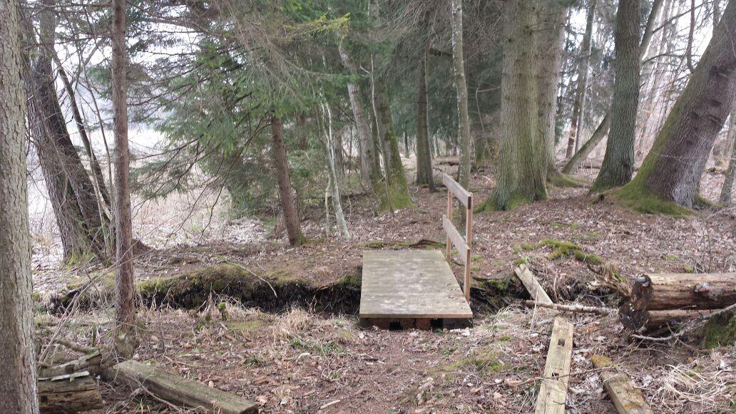 Wanderung um den Königseggsee